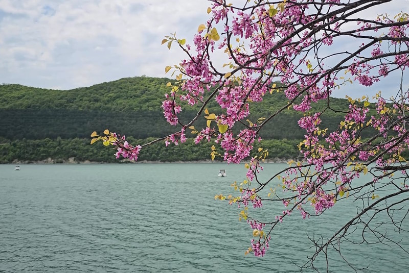 Дивноморское — курорт для вдумчивой поездки на море