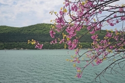 Дивноморское — курорт для вдумчивой поездки на море